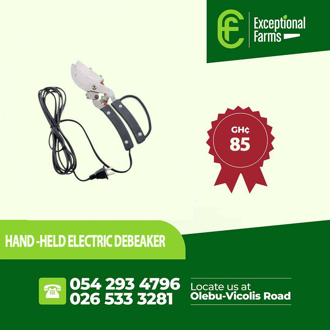 hand-held electric debeaker